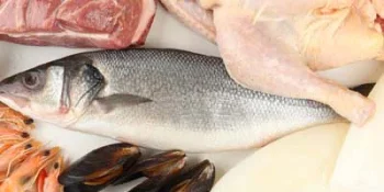 Animal-Based Proteins