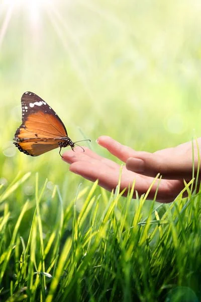Shared Focus on Sustainability