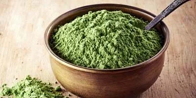 Plant-Based Proteins