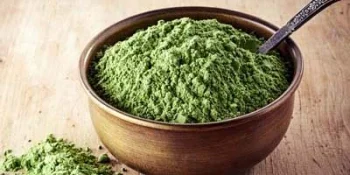 Plant-Based Proteins