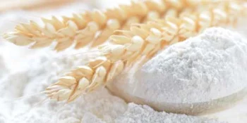 Wheat Flour